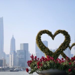 微信图片_20251222131450_410_271