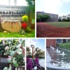 国际部3月15日小升初招生咨询会