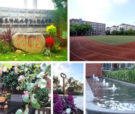 国际部3月15日小升初招生咨询会